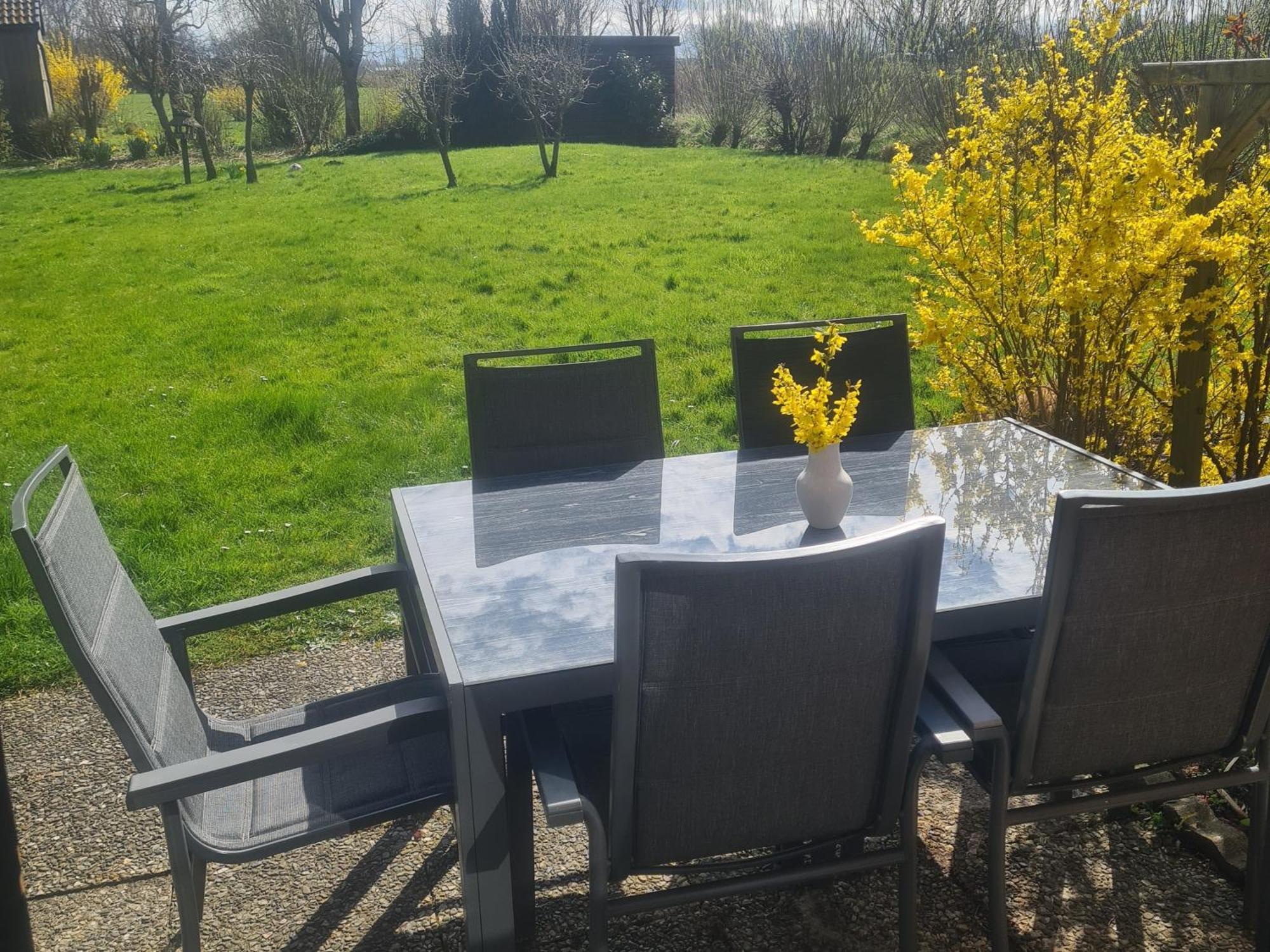 Haus Westkueste Westerdeichstrich Bagian luar foto